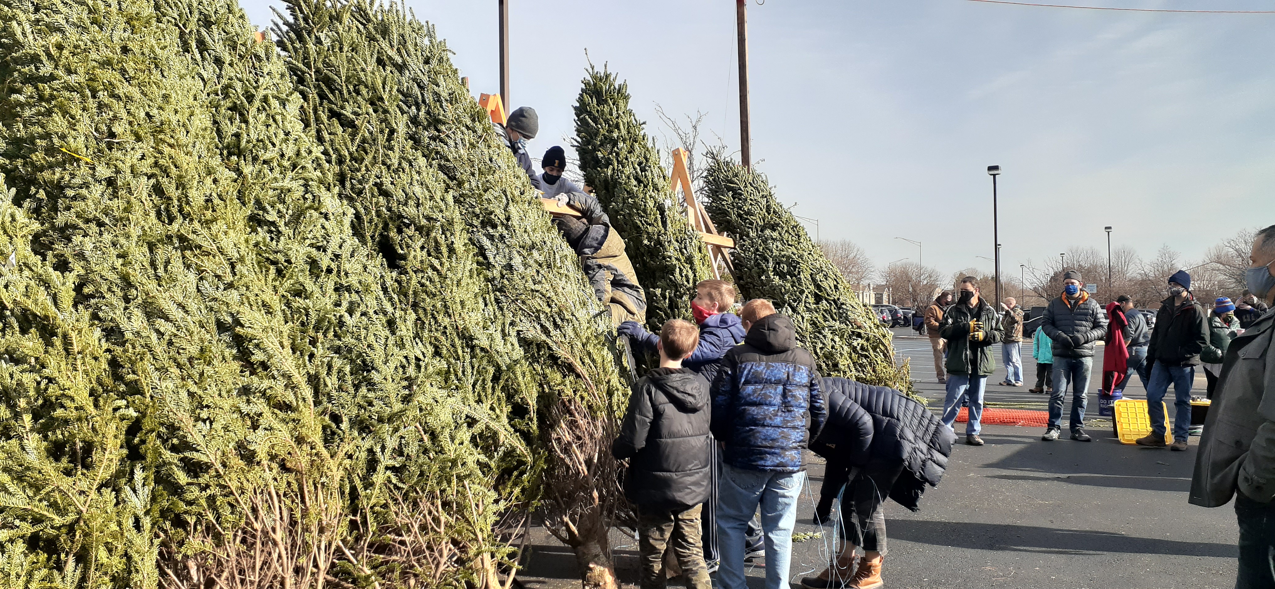 2023 Tree Lot Is Coming!